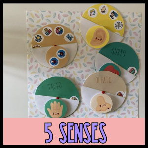 5 SENSES WHEELS