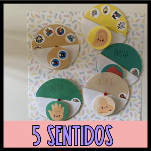 LOS 5 SENTIDOS CASTELLANO'
